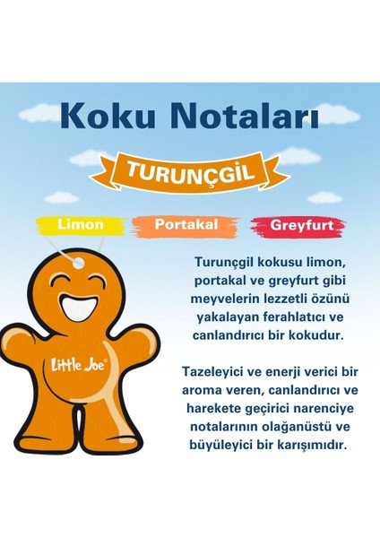 Narenciye Araç Asma Koku (Citrus) -30 Gün -Ipli Oto Kokusu -Ayna Parfümü modelleri