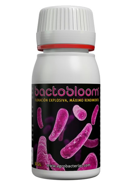 Bactobloom 50 G