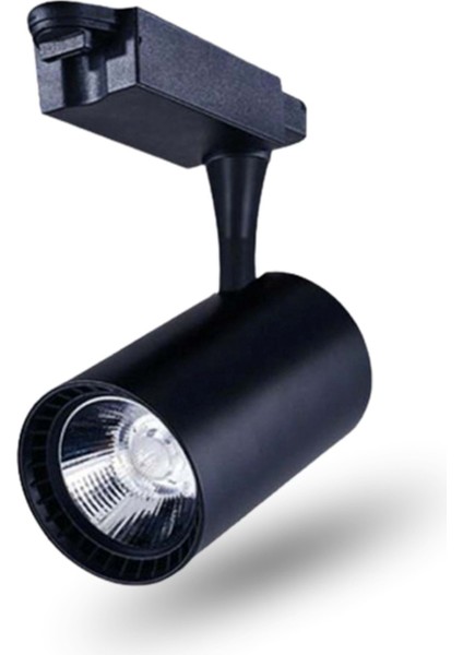 4 Adet Dekoratif LED Ray Spot + 1 Metre Ray Siyah Kasa Beyaz Işık