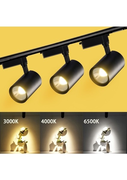 4 Adet Dekoratif LED Ray Spot + 1 Metre Ray Siyah Kasa Beyaz Işık modelleri