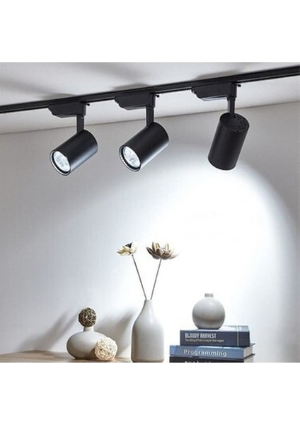 4 Adet Dekoratif LED Ray Spot + 1 Metre Ray Siyah Kasa Beyaz Işık indirimleri