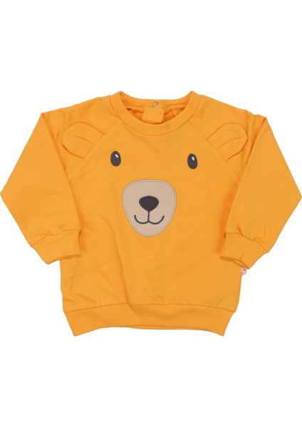 Erkek Bebek Sarı Ayıcık Desenli 2'li Takım fiyatları