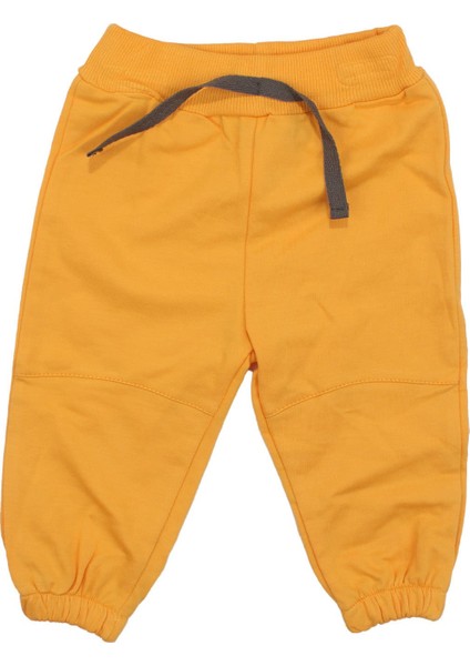 Erkek Bebek Sarı Ayıcık Desenli 2'li Takım modelleri