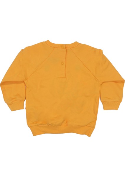 Erkek Bebek Sarı Ayıcık Desenli 2'li Takım fırsatları