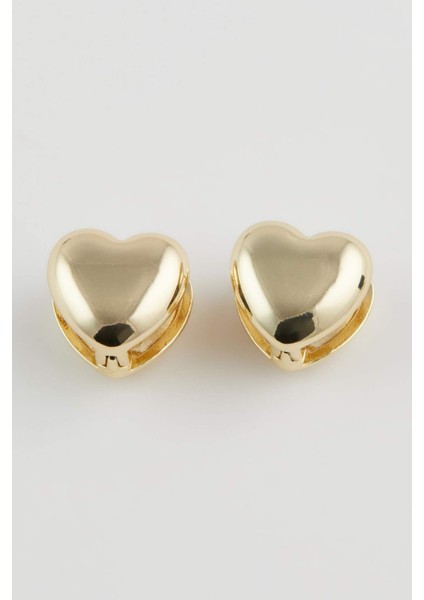 Kadın Gold Kalp Küpe C8912AXNS fırsatları