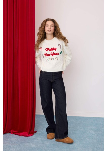 Yılbaşı Temalı Bisiklet Yaka Saç Örgü Desenli Triko Kazak D1091AX24CW fiyatları