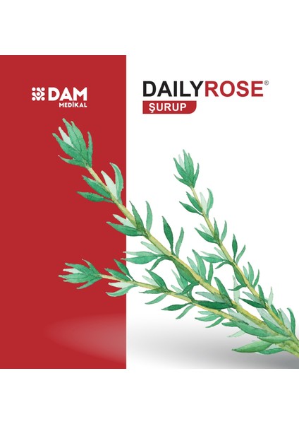 Medikal, Daily Rose, Öksüruk Şurubu, Saf Kekik Ekstraktlı. fiyatları