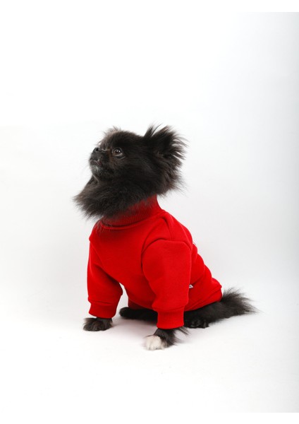 Red Limited Basic Kazak