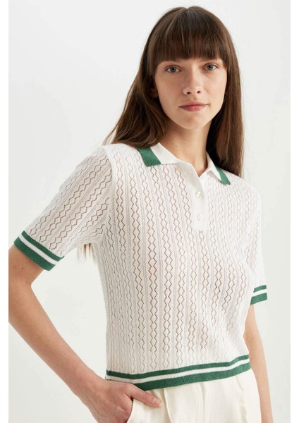 Regular Fit Polo Yaka Kısa Kollu Triko Tişört C6002AX24SM