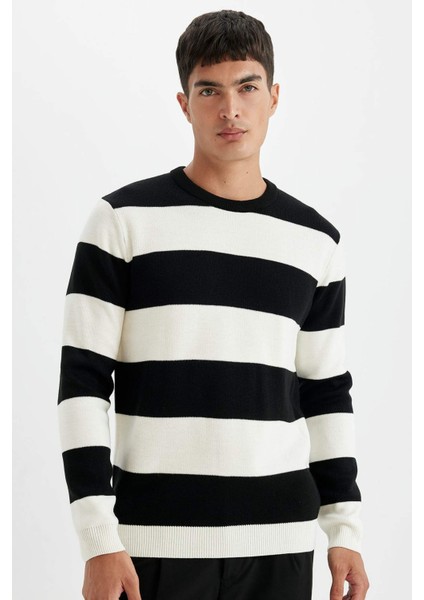 Standart Fit Normal Kesim Bisiklet Yaka Çizgili Triko Kazak D1968AX24AU