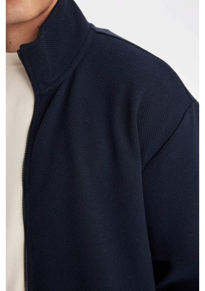 Comfort Regular Fit Rahat Kesim Dik Yaka Cepli Basic Düz Fermuarlı Sweatshirt D4971AX24AU indirimleri
