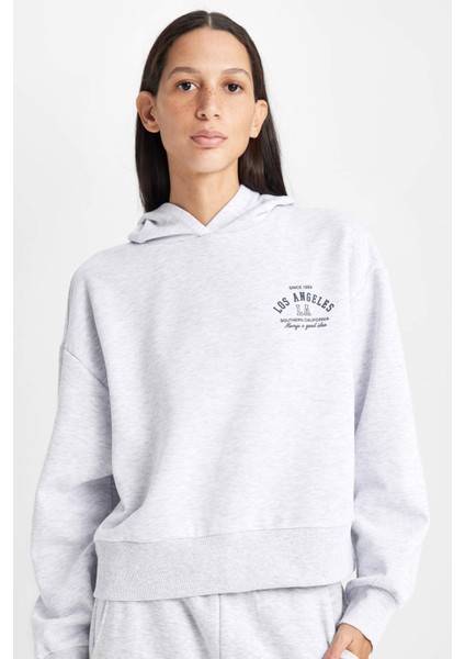Regular Fit Kapüşonlu Baskılı Kalın Sweatshirt D6720AX24WN