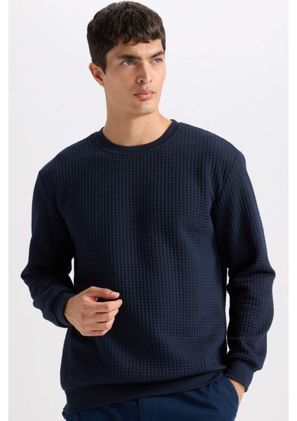 Regular Fit Bisiklet Yaka Jakarlı Sweatshirt D5392AX24AU
