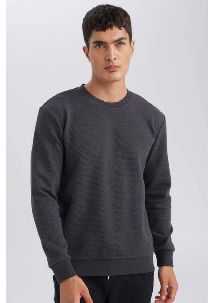 Regular Fit Bisiklet Yaka Jakarlı Sweatshirt D5394AX24AU