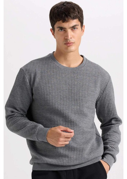 Gri Regular Fit Bisiklet Yaka Jakarlı Sweatshirt D5392AX24AU