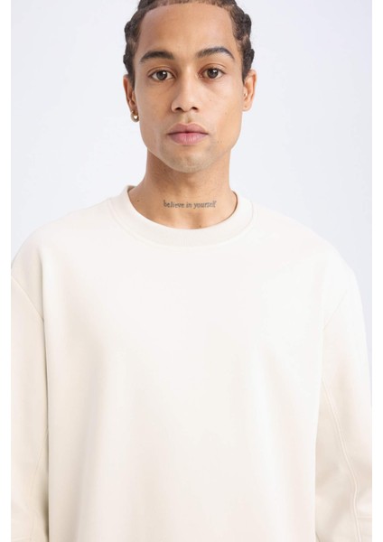 DeFacto Fit Standart Fit Bisiklet Yaka Basic Düz Sporcu Sweatshirt E0073AX24WN