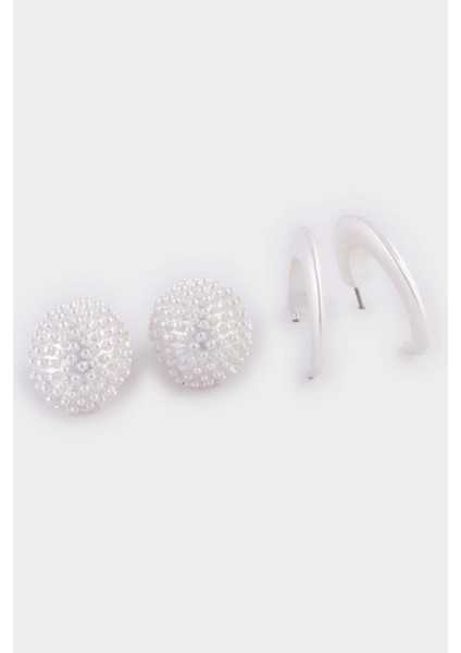 Kadın 2'li Mat Silver Küpe E1309AXNS fiyatları