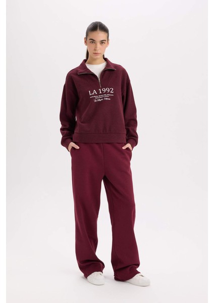 Regular Fit Yarım Fermuarlı Baskılı Sweatshirt E1849AX24WN fiyatları