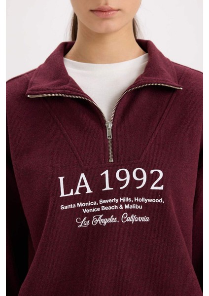 Regular Fit Yarım Fermuarlı Baskılı Sweatshirt E1849AX24WN indirimleri