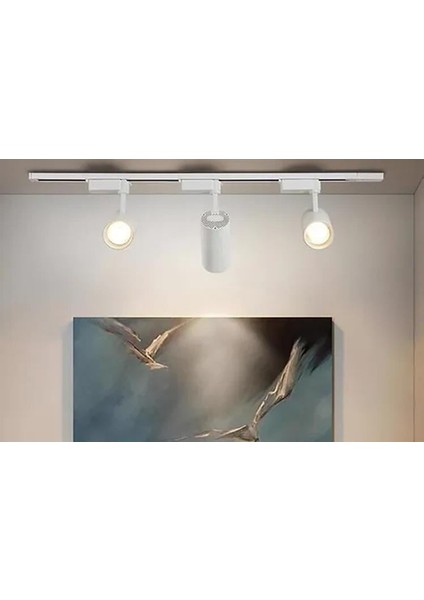 6 Adet Dekoratif LED Ray Spot + 2 Metre Ray Beyaz Kasa Günışığı Işık