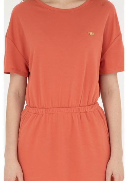 Kadın Pudra Elbise (Örme) 50289205-VR042