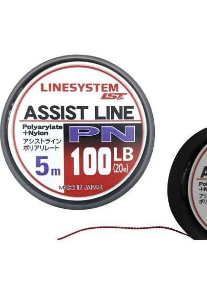 Pn Assist Ipi Kırmızı 5mt 100LB