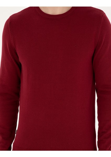 Erkek Vişne Slim Fit Bisiklet Yaka Basic Triko Kazak 50296575-VR223