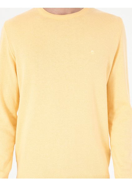 Erkek Açık Sarı Slim Fit Bisiklet Yaka Basic Triko Kazak 50296575-VR004