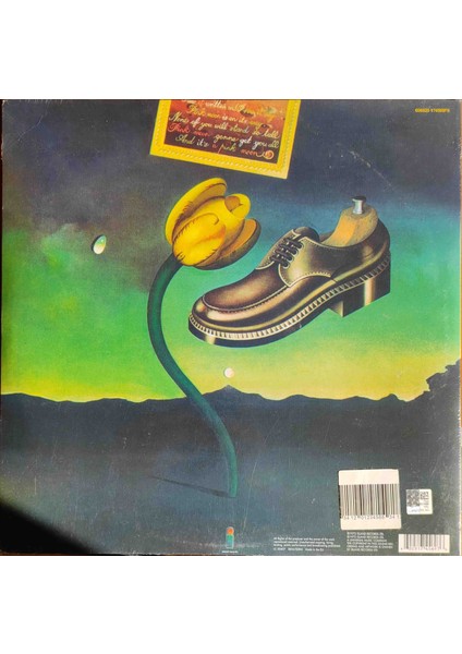 Nick Drake - Pink Moon Plak