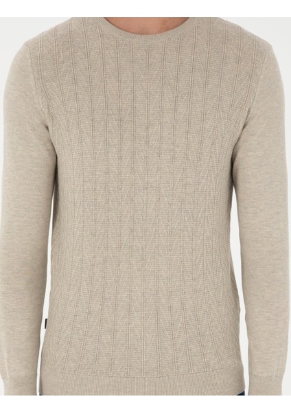 Erkek Kum Melanj Slim Fit Bisiklet Yaka Triko Kazak 50300499-VR123