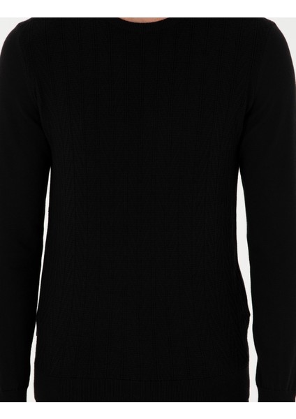 Erkek Siyah Slim Fit Bisiklet Yaka Triko Kazak 50300499-VR046