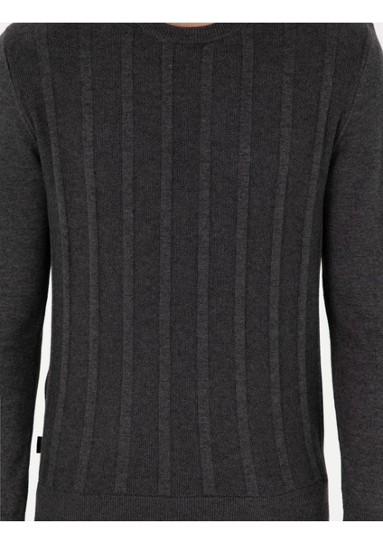 Erkek Antrasit Melanj Slim Fit Bisiklet Yaka Triko Kazak 50300531-VR081