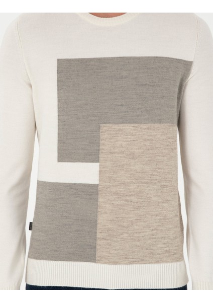 Erkek Ekru Slim Fit Bisiklet Yaka Triko Kazak 50300541-VR019