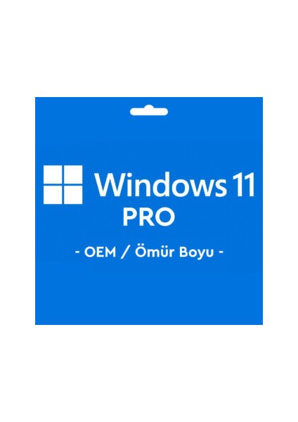 Windows 11 Pro Oem Key Lisans Anahtarı Ömür Boyu