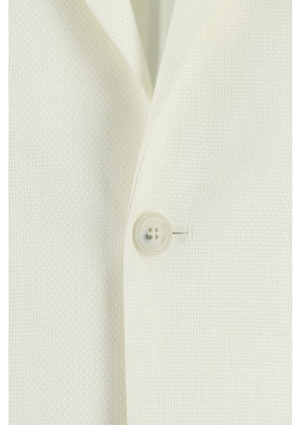 Slim Fit Dar Kesim Desenli Keten Ceket modelleri