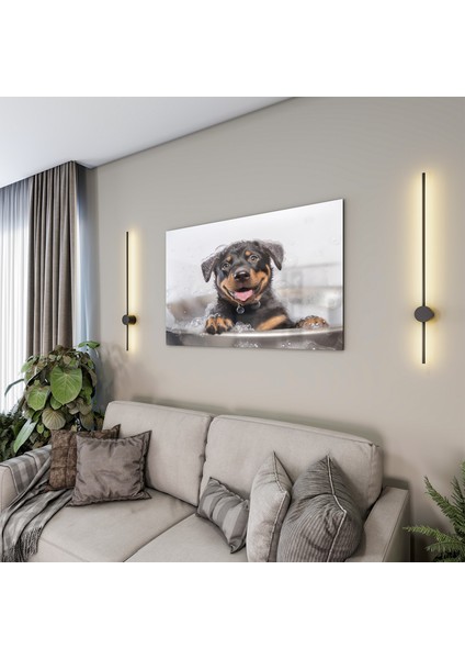 Hayvan Cam Tablo - Sevimli Dostlar Banyoda - Yatay Motif 02-031
