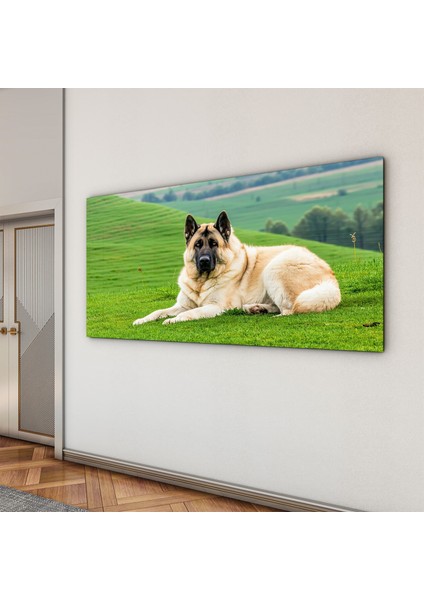 Türkiye Manzara Cam Tablo - Karışık - Yatay Motif 01-036
