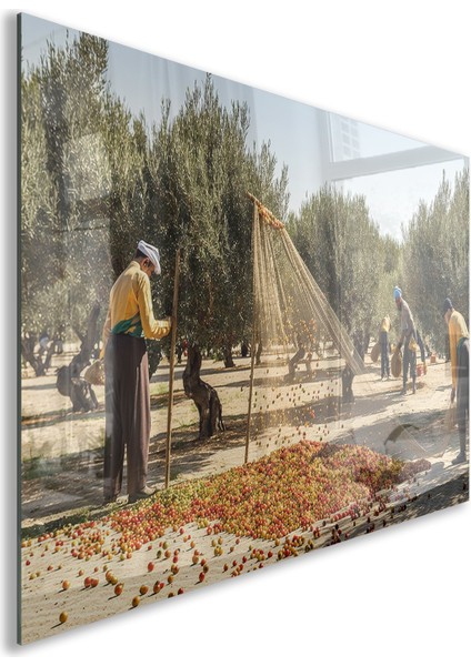 Türkiye Manzara Cam Tablo - Karışık - Yatay Motif 01-104