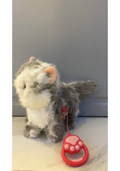 Müzikli Yürüyen Başına Dokununca Miyavlayan Yalayan Kuyruk ve Başını Sallayan Ses Kaydını Tekrarlayan Pilli Sevimli Peluş Kedi fiyatları