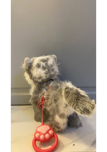 Müzikli Yürüyen Başına Dokununca Miyavlayan Yalayan Kuyruk ve Başını Sallayan Ses Kaydını Tekrarlayan Pilli Sevimli Peluş Kedi modelleri