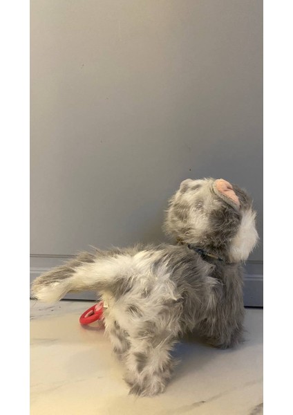 Müzikli Yürüyen Başına Dokununca Miyavlayan Yalayan Kuyruk ve Başını Sallayan Ses Kaydını Tekrarlayan Pilli Sevimli Peluş Kedi indirimleri