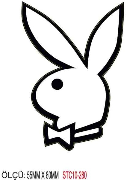 Motorsiklet Otomobil Sticker 2 Adet 278