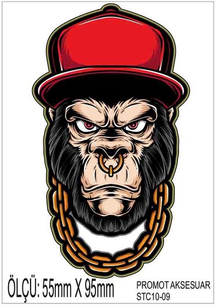 Motorsiklet Otomobil Sticker 2 Adet 009