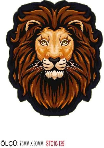 Motorsiklet Otomobil Sticker 2 Adet 135