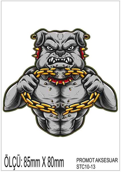 Motorsiklet Otomobil Sticker 2 Adet 013