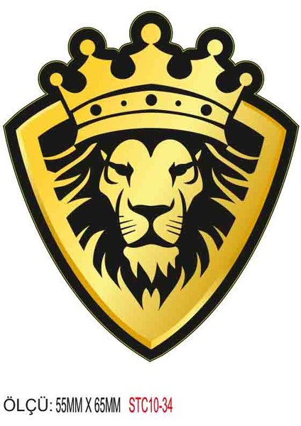 Motorsiklet Otomobil Sticker 2 Adet 034