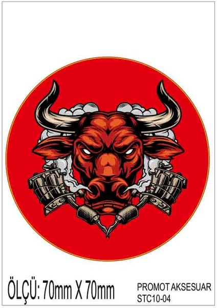 Motorsiklet Otomobil Sticker 2 Adet 004