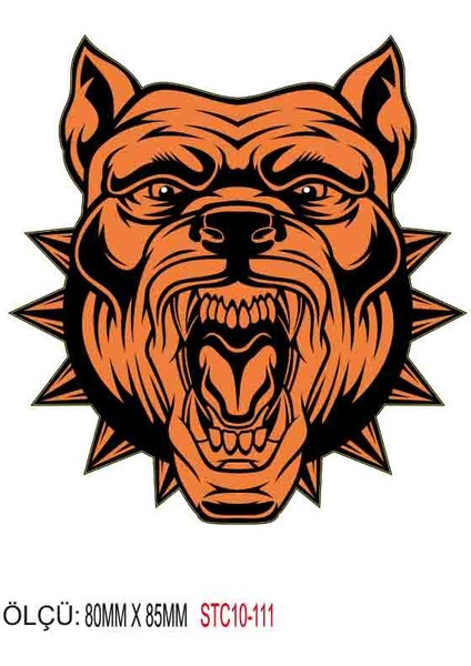 Motorsiklet Otomobil Sticker 2 Adet 107