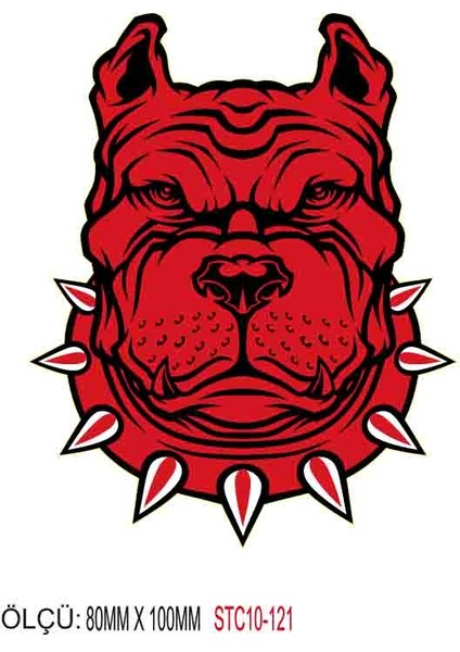 Motorsiklet Otomobil Sticker 2 Adet 117