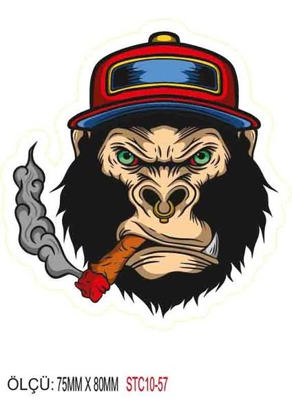 Motorsiklet Otomobil Sticker 2 Adet 057